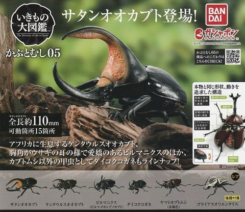 181DCCEA-B238-4B4A-963F-757E737F55F9