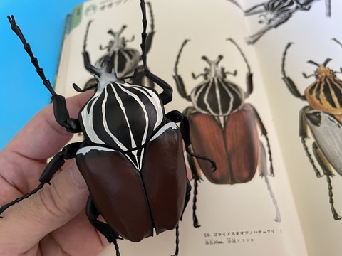 5655EB57-E4DB-4520-89D4-48FA5FDC3B05