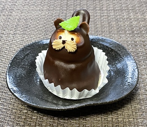 FAFDC028-991F-4714-8BAC-FF6ECB5BC470