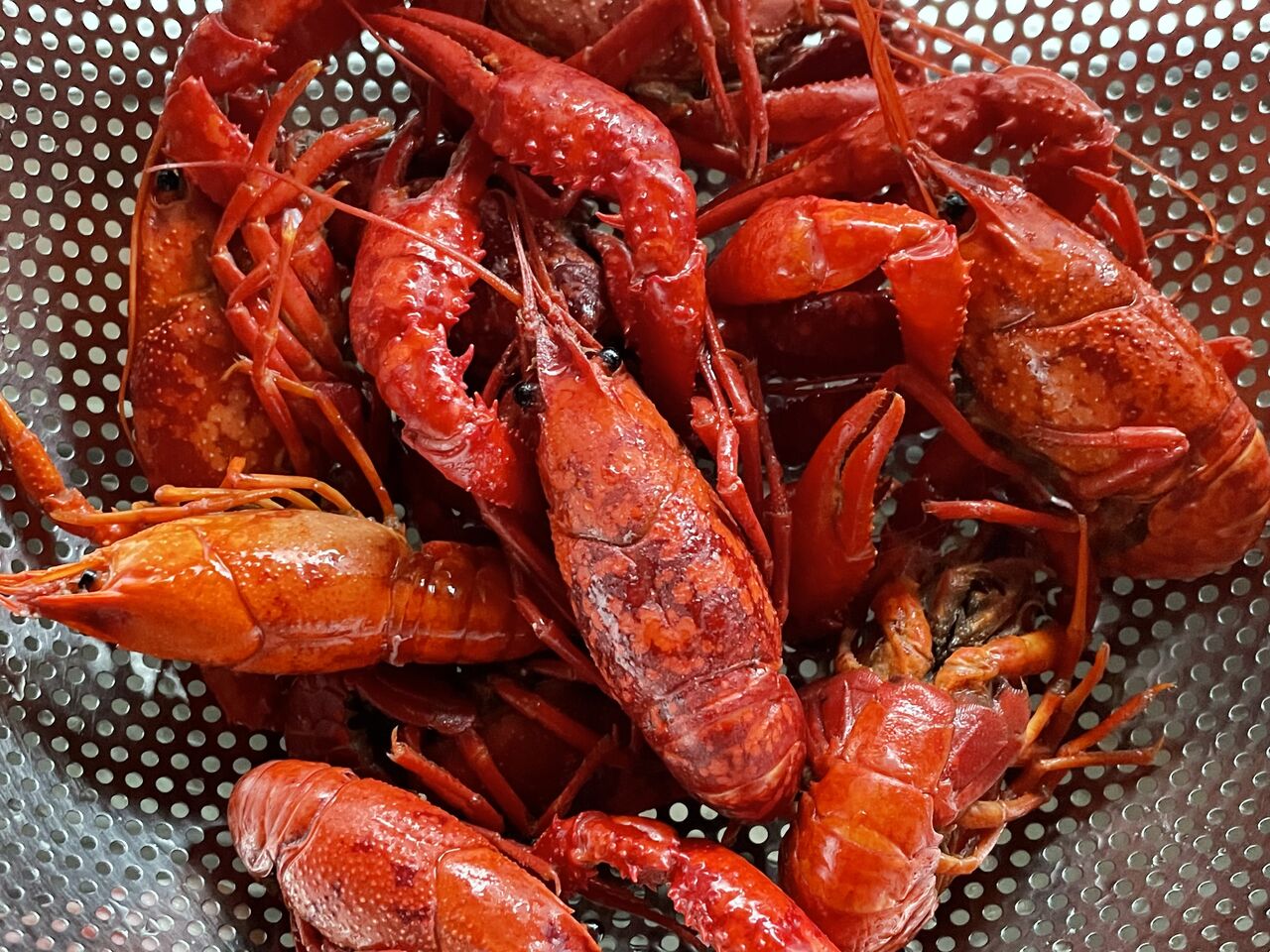 アメリカザリガニ食ってみた 昭和39年男 Born In 1964