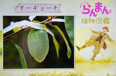 5680E5FF-29DB-4A84-AF10-D565F7497707