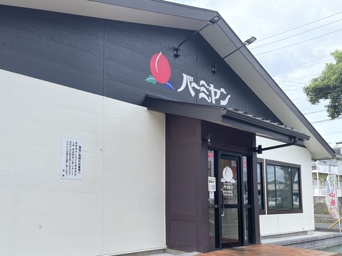 9C1B2AA4-609C-4989-B929-CA09F2D8F47F