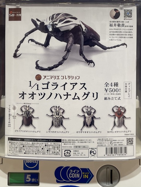 77D11CD8-B1DF-41E4-BA17-2A13368177B3