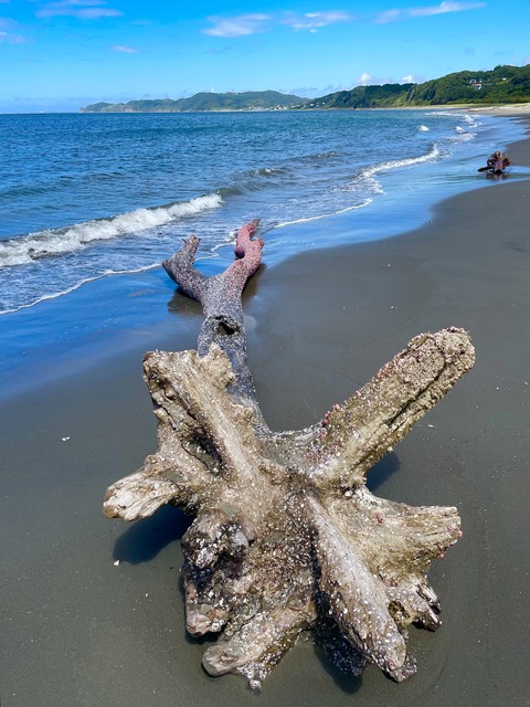 A1078CD0-5799-4461-B065-334E19881F1E