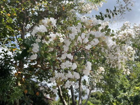 865F9AA1-C5F9-4F38-A119-BEA876A67E07