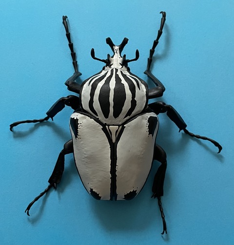 05DCC556-69BF-4AAF-99DA-44B789906E8A