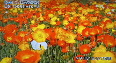 FD804DB1-0DBB-4B4E-9A68-B1AB93F87714