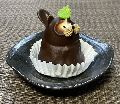 6E9A727B-0898-4433-90F9-CD9DF0AD6495