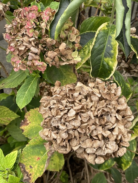 503A7BB4-66EE-4743-B67D-4B270CF48D6E