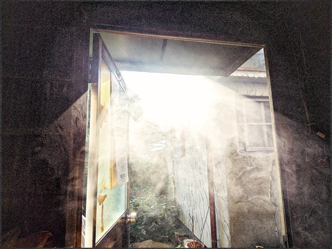 fotor_1721689043189