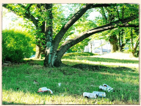 fotor_1781080309567