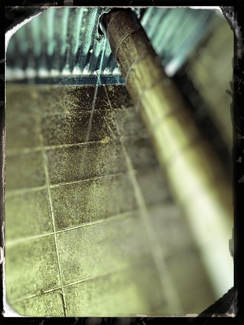 fotor_1691360357673