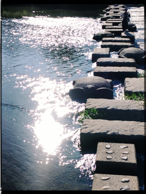 fotor_1781079938467