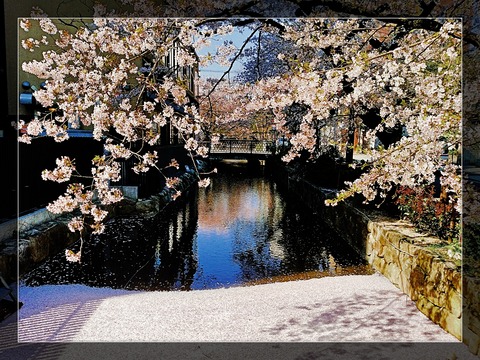 Fotor_158631340677062