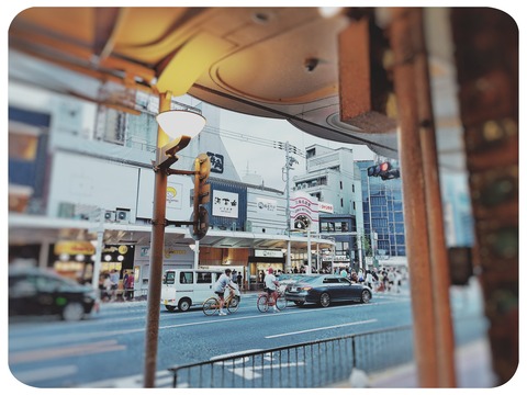 fotor_1717471615302