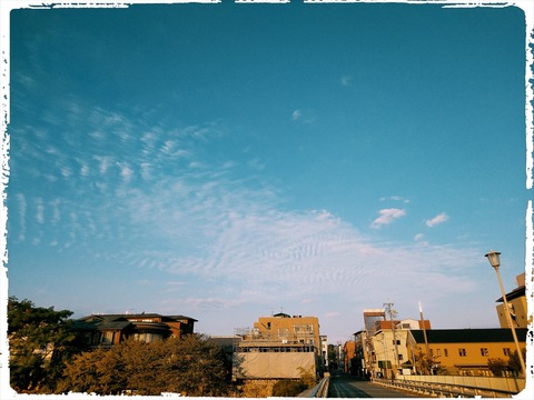 Fotor_160340549165240