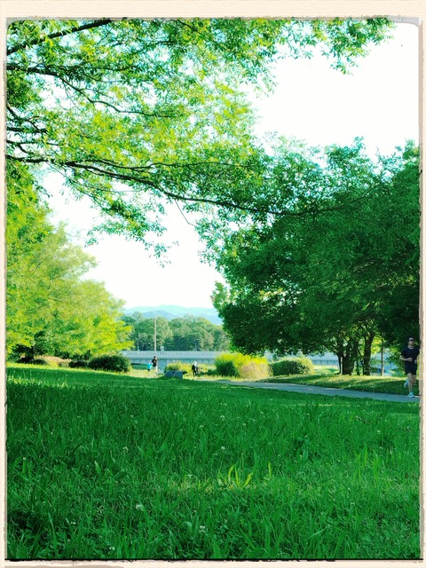 fotor_1781079708207