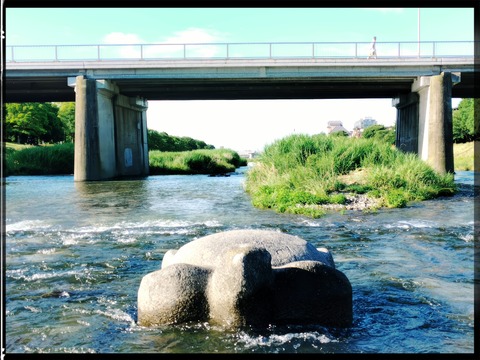 fotor_1781080036955