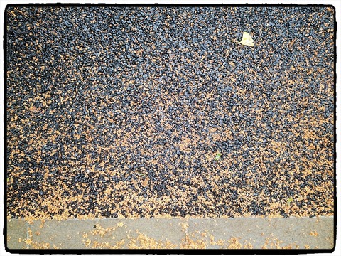 Fotor_160341975266976