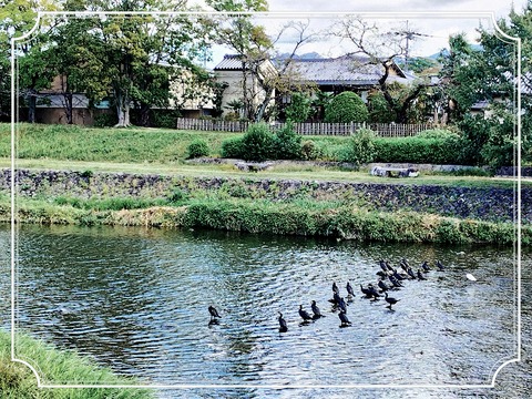 fotor_1698804790685