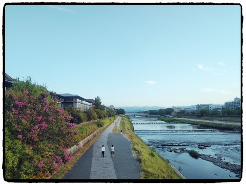 Fotor_15987369665421