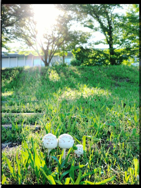 fotor_1781080134880