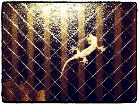 Fotor_159968986370489