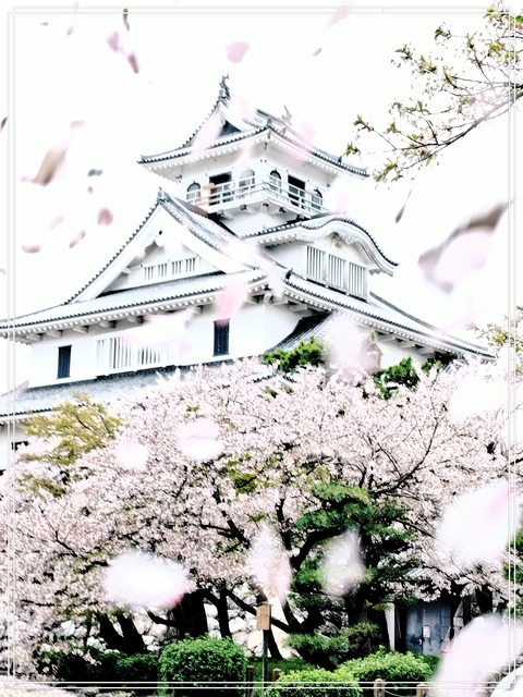 fotor_1777006499043