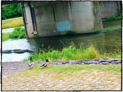 fotor_1781080883845