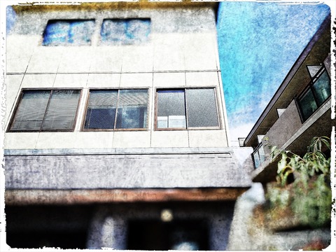 fotor_1785595834035