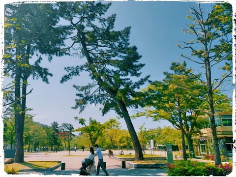 Fotor_158864733933844