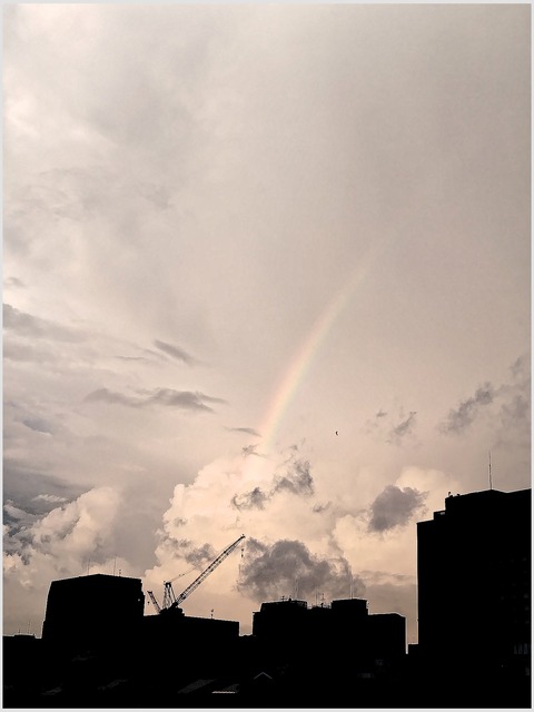 fotor_1692568477102