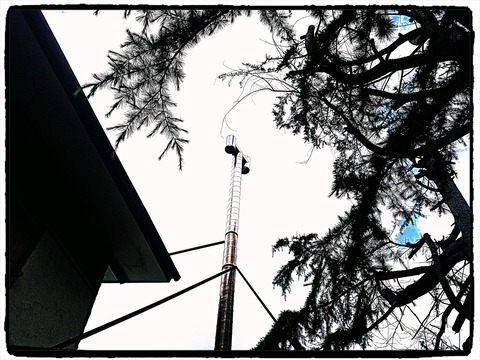 Fotor_159027816310532