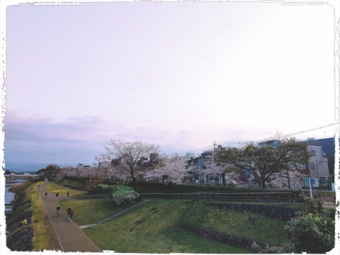 fotor_1774820547983