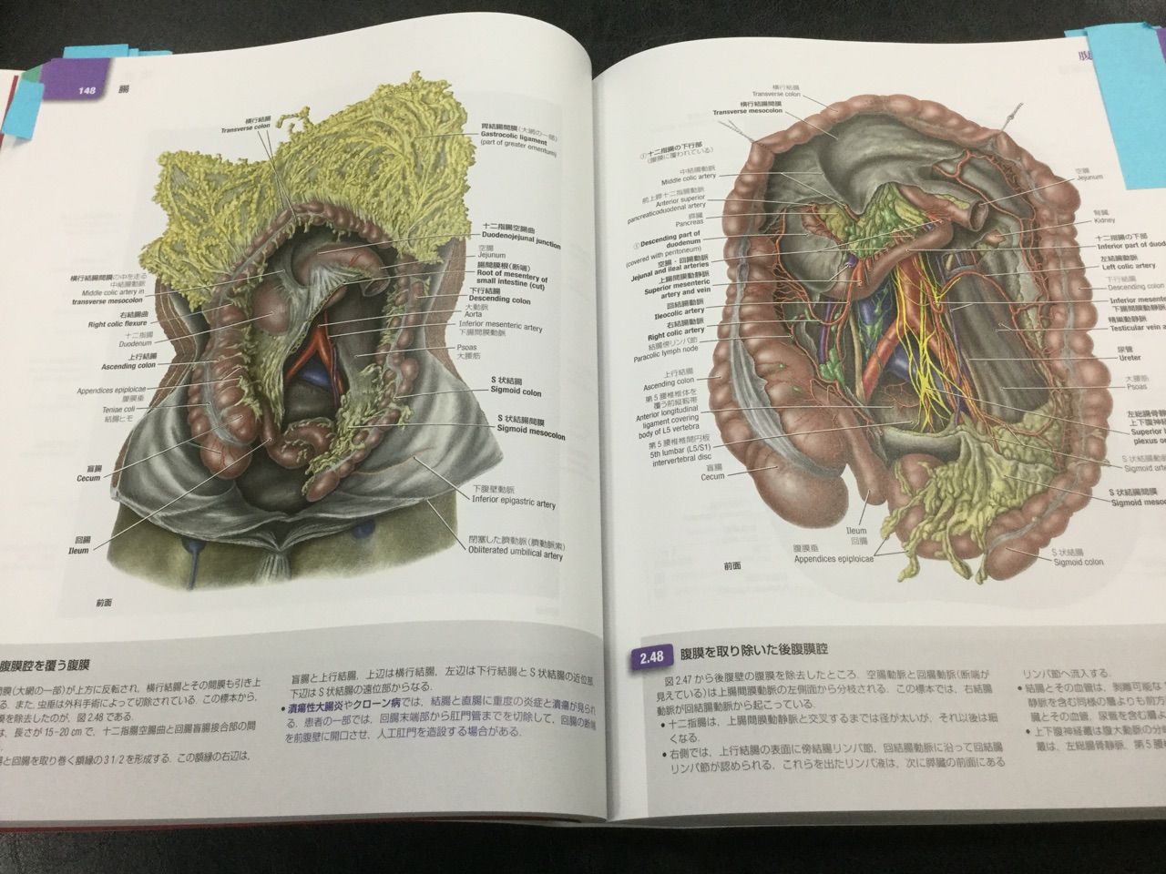 健康医学グラント解剖学図譜 第７版