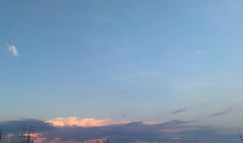 IMAG6217_1