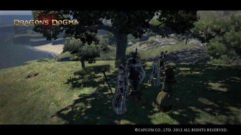 Dragon's Dogma Screen Shot _2