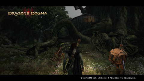 Dragon's Dogma Screen Shot _2