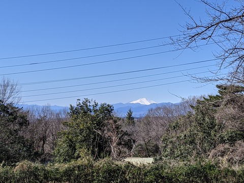 PXL_20210219_022759217.MP