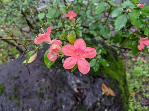PXL_20210903_064042595