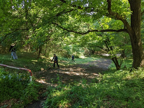 PXL_20220701_045119443