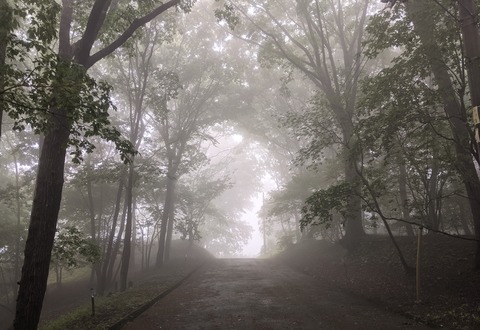 A1599149-4F8B-47E7-AF7E-2204C4DA9398