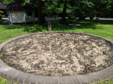 PXL_20220617_054727977