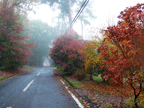 2018.11.16.2