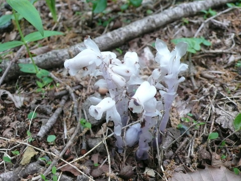 P1170126