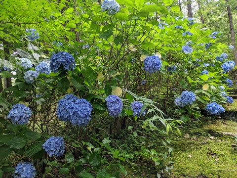 PXL_20220714_020345522