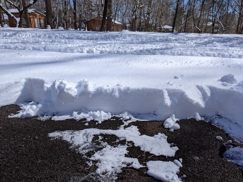 PXL_20220218_022724176