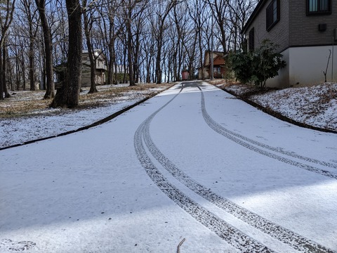 PXL_20220121_012032486