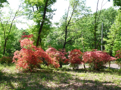 P1180175