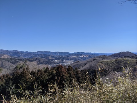 PXL_20210219_025403793